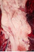 RAW meat pork 0233